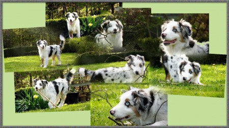 Novak 5 mois, les joies du jardin